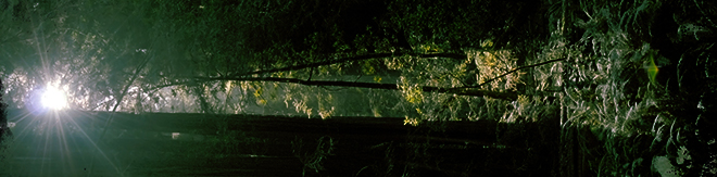 Staircase to Nowhere