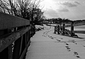 Storm Tamer – One Word Photo Challenge: Winter