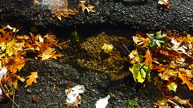 20141128_12571-snall1