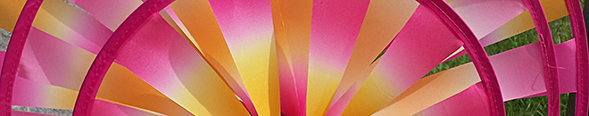 Expand your horizons