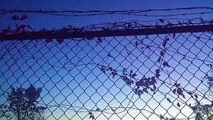 Trick or Trick: A Daily Post Sonnet Trick or Trick: A Daily Post Sonnet