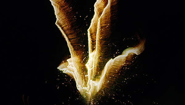 Phoenix (c) in medias res by Melinda Kucsera