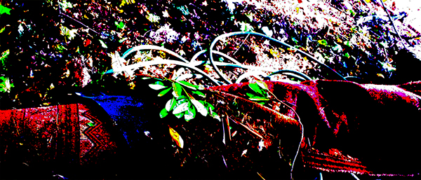 20151017_155514cropped