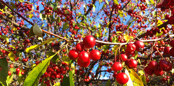 If we were having coffee… Writing 101 #11