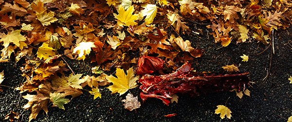 The Luckiest People Eat Humble Pie The Luckiest People Eat Humble Pie