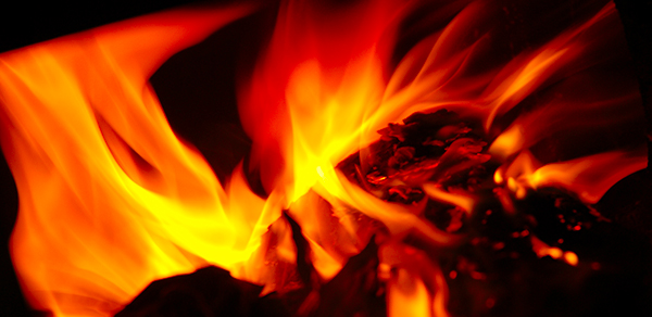 Future’s Fire: Sheltamarae, the Dragon Future’s Fire: Sheltamarae, the Dragon