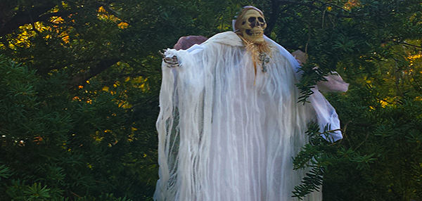 The Dance – A Free Association Prompt Stomp