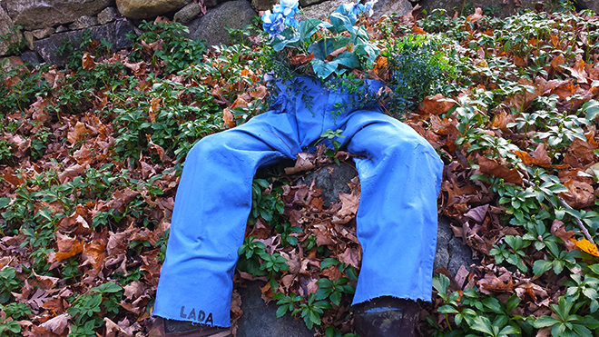 Flowers in his pants (c) in medias res by Melinda Kucsera