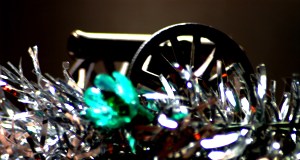 cannon (c) Melinda Kucsera