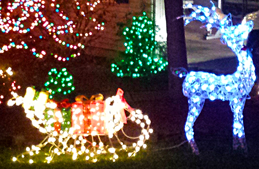 Sleigh (c) in medias res by Melinda KucseraSleigh (c) in medias res by Melinda Kucsera