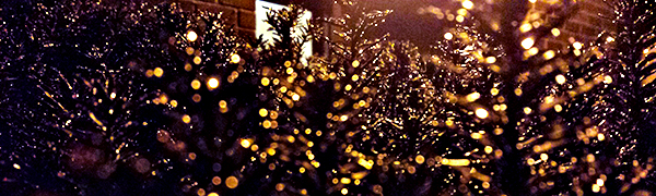 Decide: Dread, Fury or the Guilt that Haunts