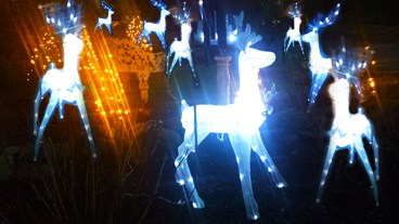 reindeer games (c) in medias res by Melinda Kucsera