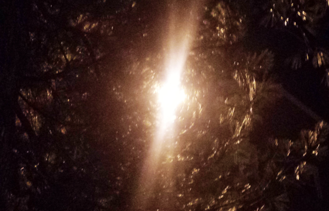 Stars and Angels Sing