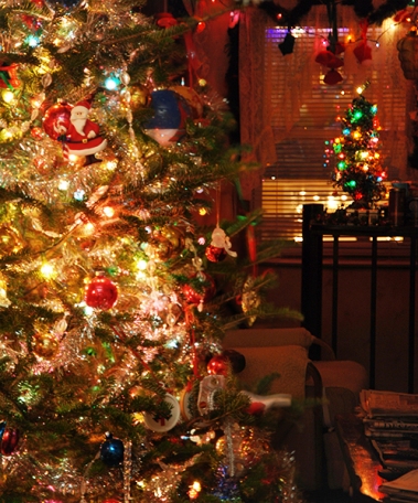 Christmas Tree (c) Melinda Kucsera