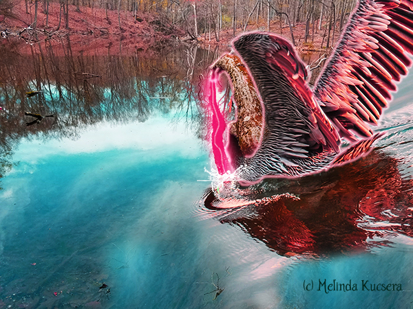 How A Dragon Foiled My Dastardly Plan