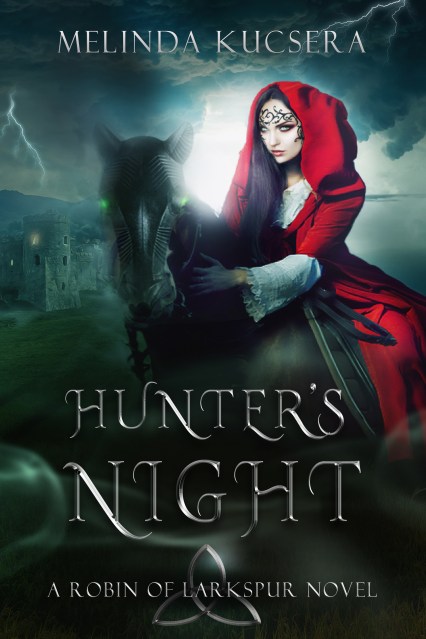 hunter27snightbookcover